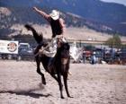 Rodeo - Cavalier dans la preuve du cheval de selle, un cheval sauvage