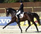 Cheval et cavalier en effectuant exercice de dressage