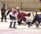 Joeurs et gardien de but en match de hockey sur glace