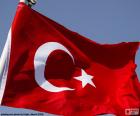 Drapeau de la Turquie, formé par une lune décroissante et une étoile à cinq branches, les deux de couleur blanche, sur un fond rouge