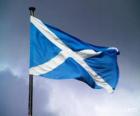 Bandera de Escocia, país del Reino Unido