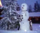 Bonhomme de neige