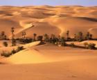 Palmiers dans les dunes du désert