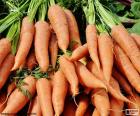 La carotte est un légume et apporte de nombreux avantages et propriétés