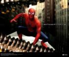 Spiderman, l'home-araignée, accroupi