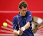 Andy Murray prêt d'un coup