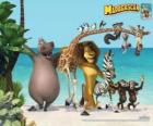 Gloria l'hippopotame, Melman la girafe, Alex le lion, Marty le zèbre avec d'autres protagonistes de les aventures