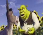 Shrek, l'ogre, avec son ami l'Âne