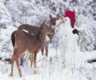 Deux cerfs à côté d'un bonhomme de neige