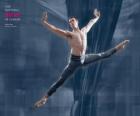 Ballet - Danseur dans l'action