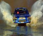 Rallye WRC - Passage d'eau
