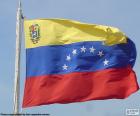 Drapeau du Venezuela