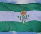 Drapeau Real Betis