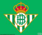 Emblème du Real Betis avec fond vert