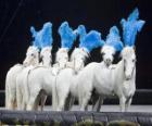 Chevaux agissant dans un cirque