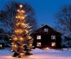 Chambre avec un grand arbre de Noël décoré dans le jardin