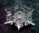 Un petit cristal de glace qui forme les flocons de neige