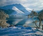 Un lac au paysage enneigé