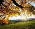 Succession de collines avec quelques arbres