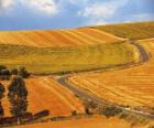 Paysage de campagne vallonnée