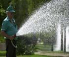 Jardinier de s'occuper des plantes, l'arrosage