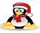 Pingouin habillé en Père Noël