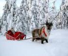 Le Père Noël dans son traîneau avec un renne sur la neige