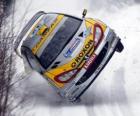 Voiture de rallye sur la neige