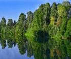 Une rivière avec le reflet des arbres dans l'eau