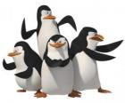 Les pingouins, Skipper, Kowalski, Rico et privées.