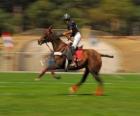 Polo joueurs qui jouent à un jeu