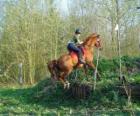 Cours technique équestre de la concurrence, teste la compréhension entre le cheval et le cavalier à travers différentes épreuves.