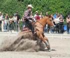 Reining - équitation western - Ride Cowboy