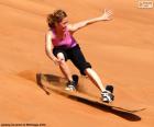 Sandboard