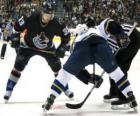 Joueurs dans un match de hockey sur glace