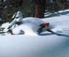 Snowboarder descente dans la neige fraîche
