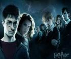 Harry Potter avec ses amis