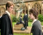 Harry Potter et son ami Cedric Diggory