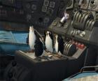 Penguins de réparer un vieil avion écrasé