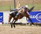 Cow-boy monté sur un cheval cabré dans un rodéo