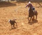 Cowboy en montant un cheval et en recueillant une bête avec le lasso