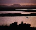 ISimangaliso Wetland Park, Afrique du Sud