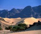 Réserves naturelles de l'Aïr et du Ténéré, au Niger