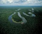 Rio Amazonas, dans le Complexe de conservation de l'Amazonie centrale, Brésil
