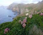 Îles subantarctiques, qui comprend les îles de l'Snares, Bounty, Antipodes, Auckland et Campbell, situé dans l'océan Austral, au sud de la Nouvelle-Zélande.