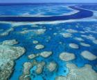 La Grande barrière de corail, les récifs coralliens à travers le plus grand monde. Australie.