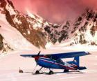 Cessna 185 dans la neige