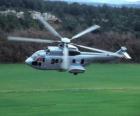Grande hélicoptère Cougar EC725