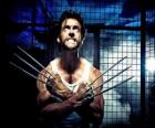 Wolverine ou Le Glouton est un super-héros mutant et l'un des X-Men et des New Avengers