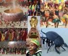 Cérémonie d'ouverture de la Coupe du monde 2010